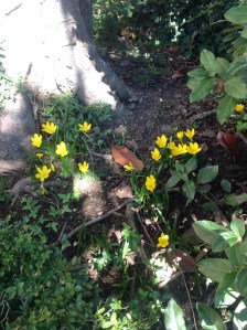 verso la primavera 2