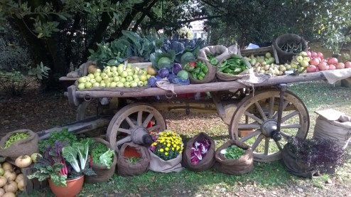 carro con frutta paolo