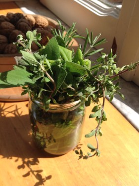 salvia rosmarino alloro maggiorana e origano forse